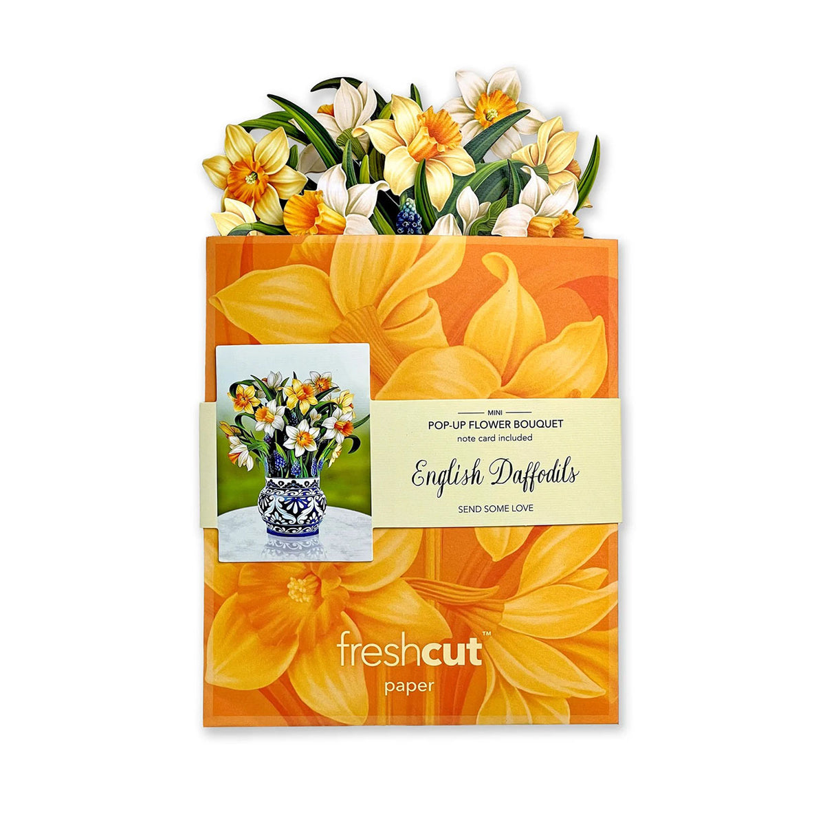 Mini English Daffodil Pop-up Notecard