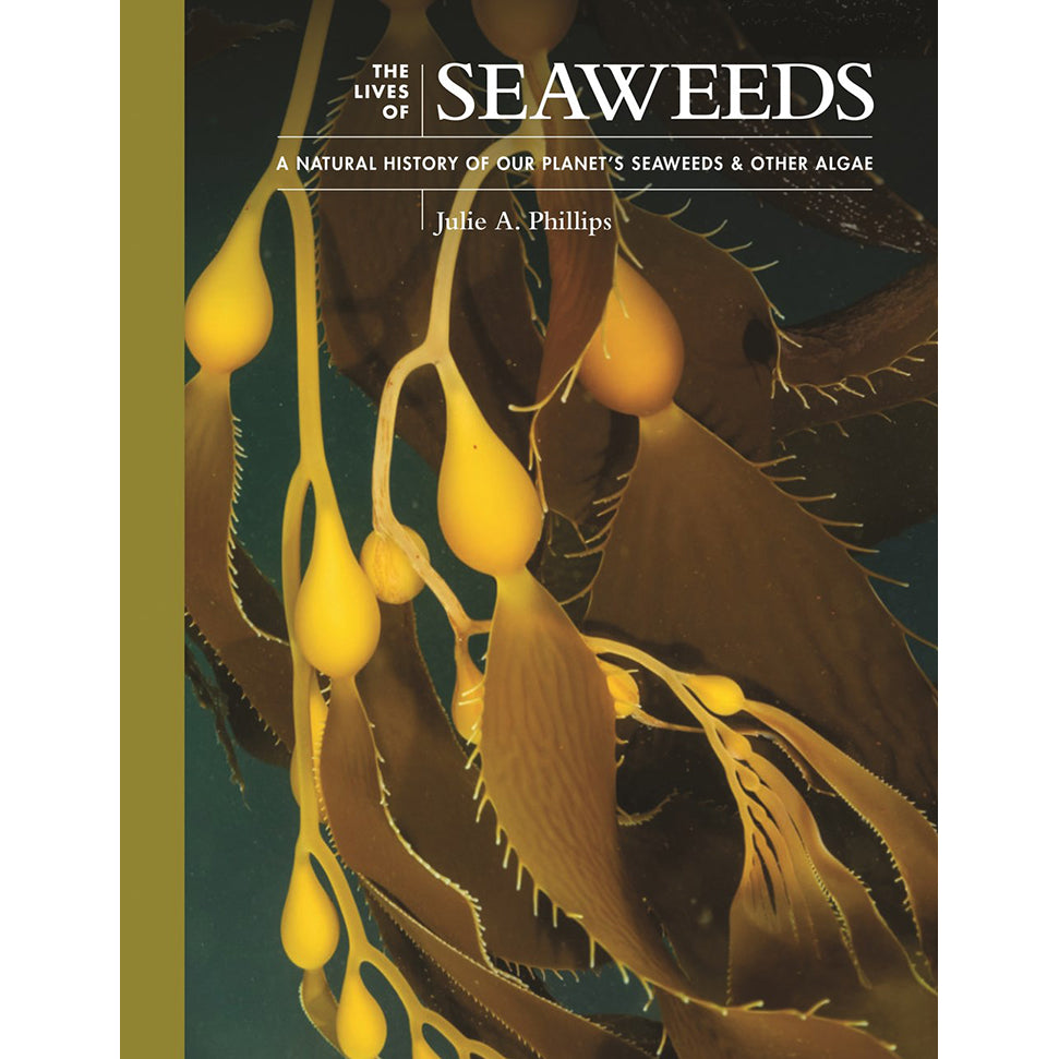 The Lives of Seaweeds