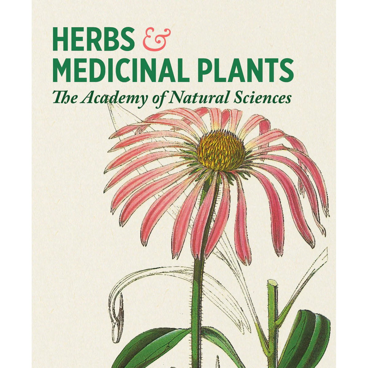 Herbs and Medicinal Plants Knowledge Cards