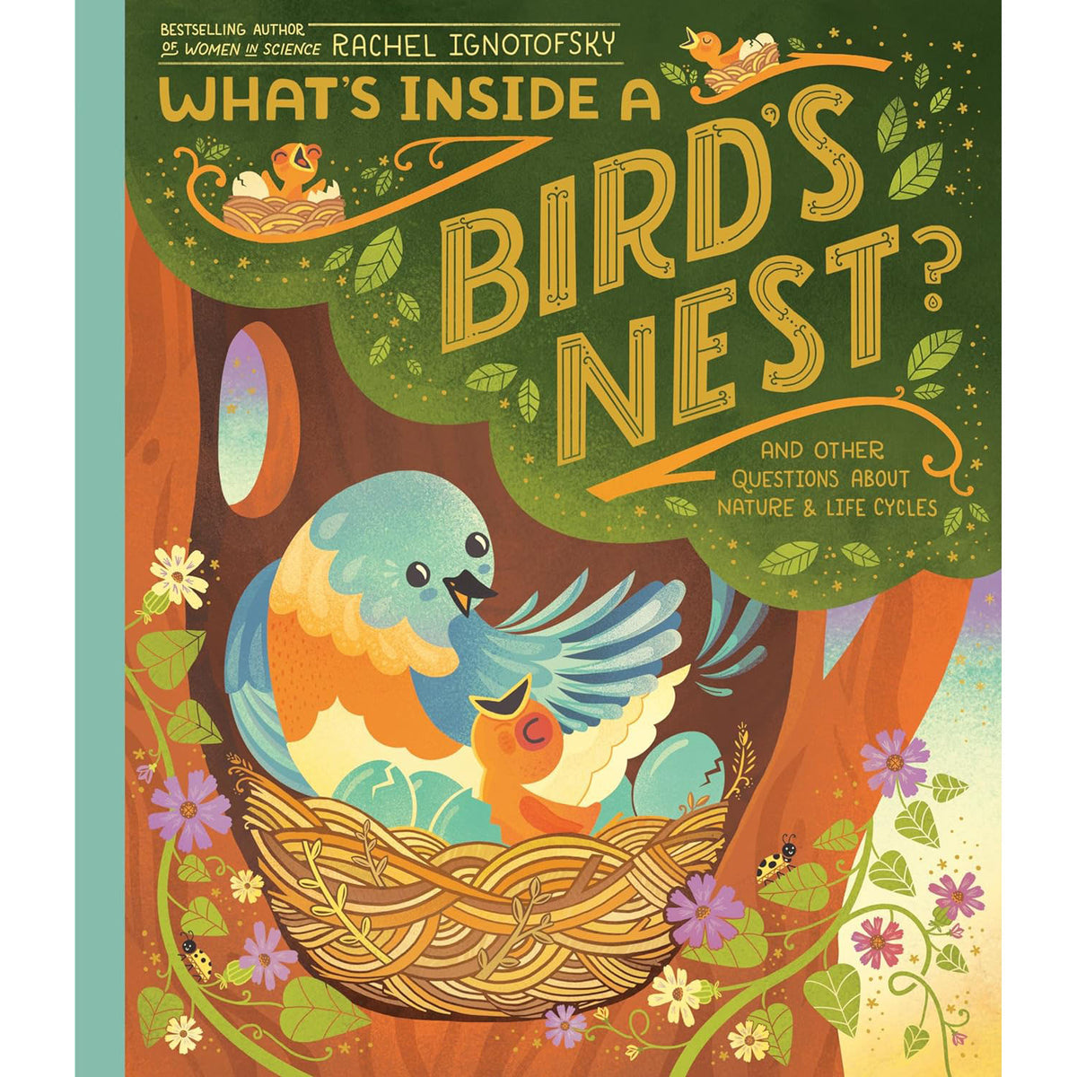 What&#39;s Inside A Bird&#39;s Nest?