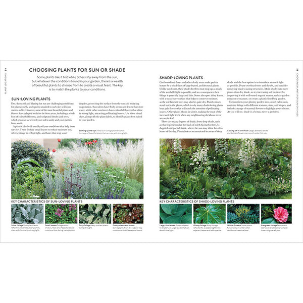Encyclopedia of Garden Plants for Every Location - Getty