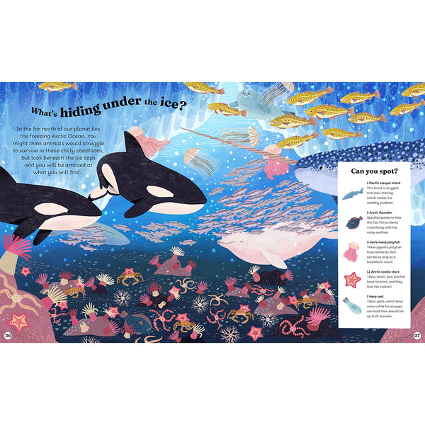 Ocean Explorer: A Search-and-Find Book - Getty Museum Store