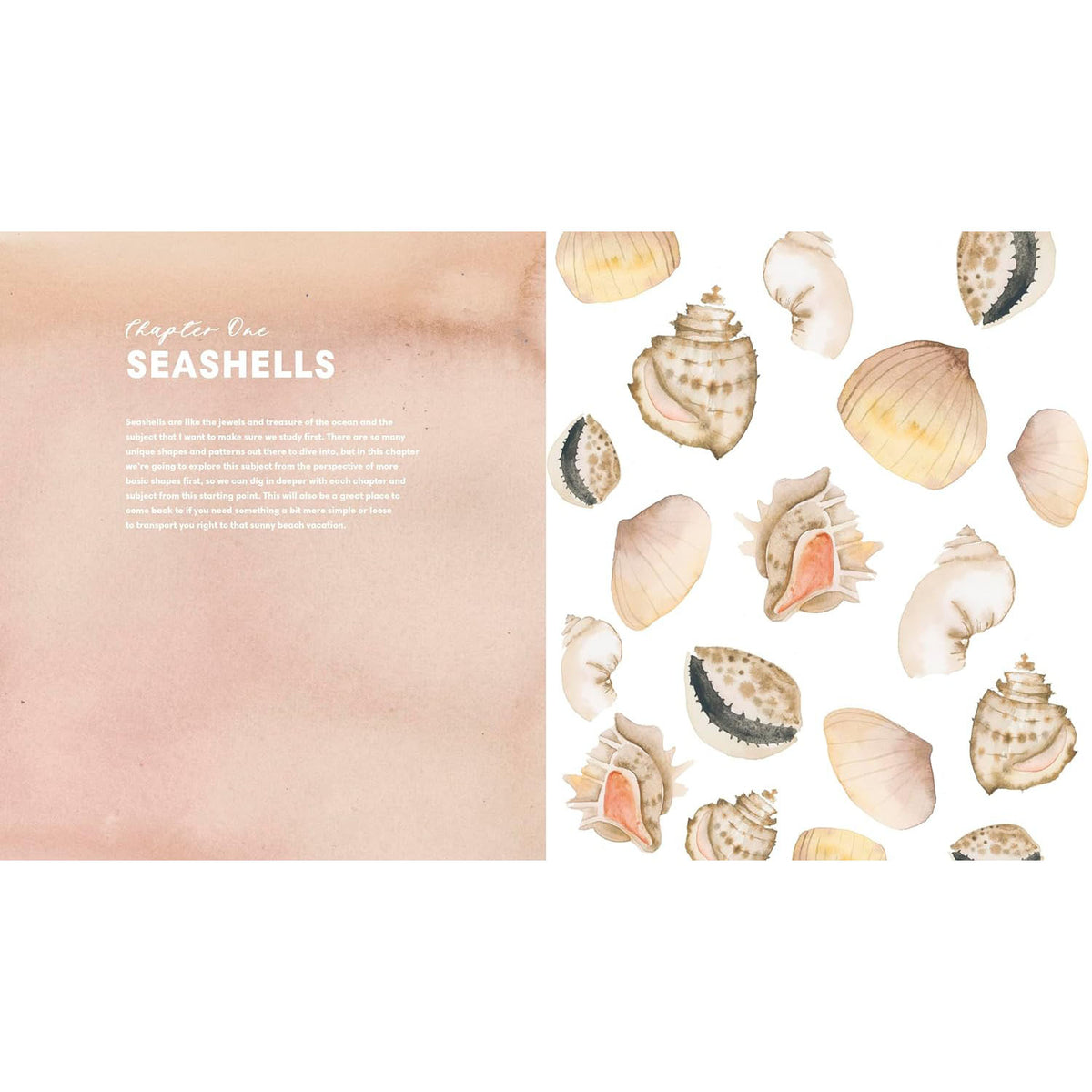 Everyday Watercolor Seashores: A Modern Guide to Painting Shells, Creatures, and Beaches Step by Step