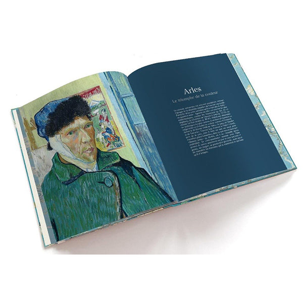 Van Gogh: The Bigger Picture - Getty Museum Store