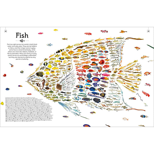 Shapes of Nature: A Kaleidoscope of the Natural World - Getty