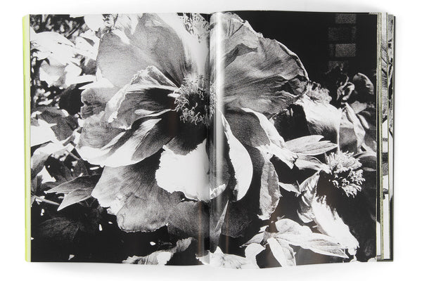 PLATFORM　MORIYAMADAIDO Platform - Daido MORIYAMA | shashasha - Photography & art in books