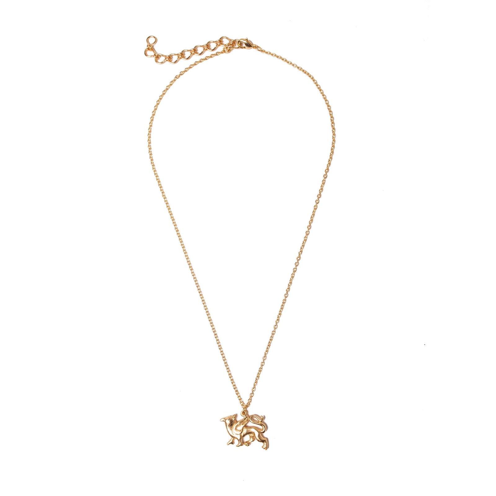 Colgante con dije de grifo | Tienda Getty