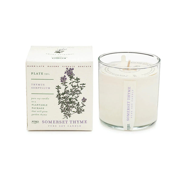 Somerset Thyme Candle with Plantable Box - Getty Museum Store