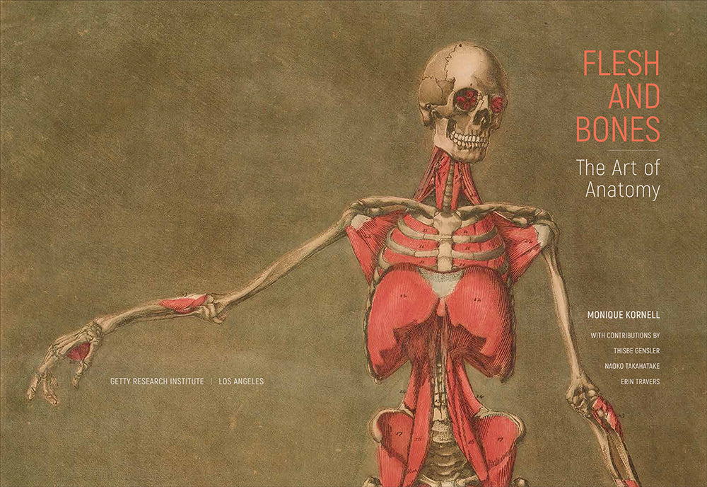 Flesh and Bones: The Art of Anatomy