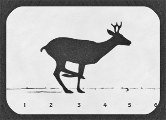 Lenticular Postcard-Running Deer | Getty Store