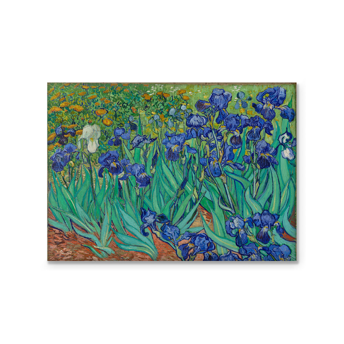 Magnet- Van Gogh&#39;s Irises | Getty Store