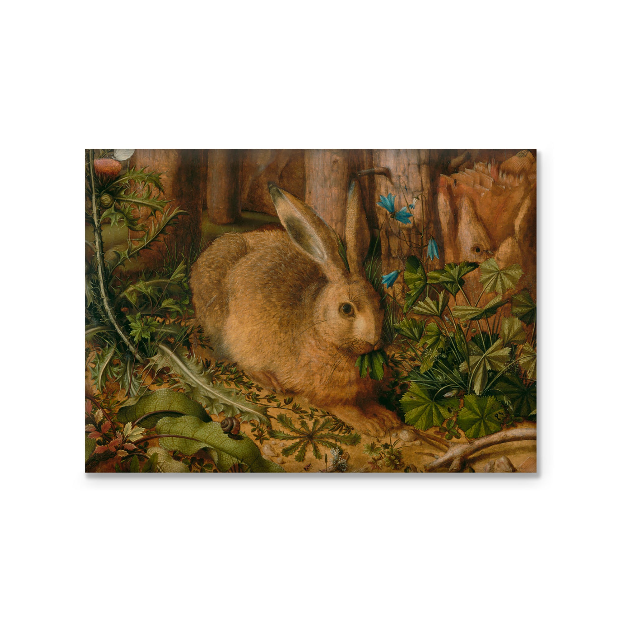 Magnet- Hoffmann's -A Hare in the Forest | Getty Store