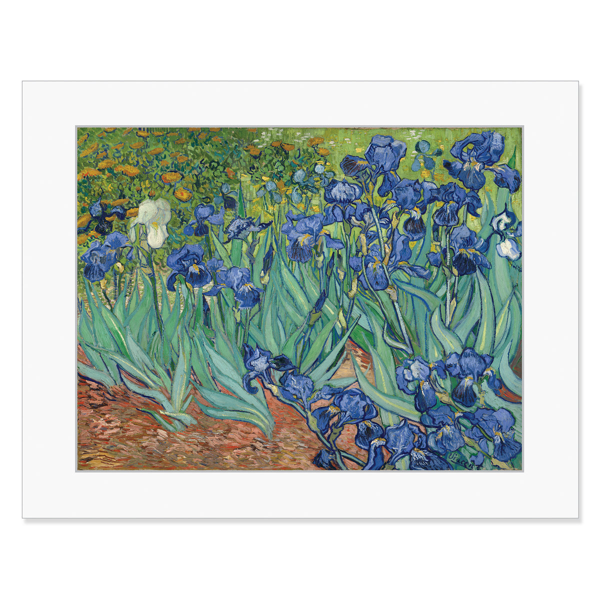 Van Gogh Irises - 11&quot;x14&quot; Matted Print | Getty Store