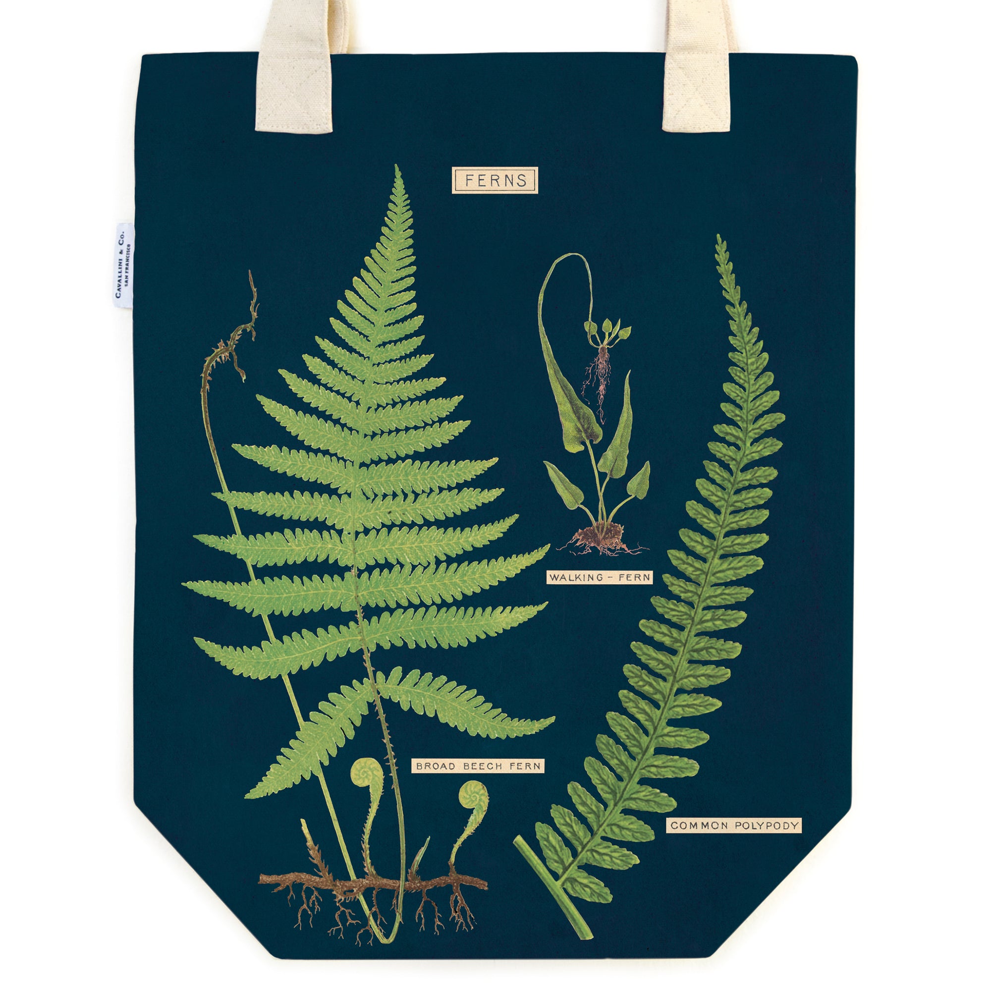 Botanical Fern Tote Bag | Getty Store