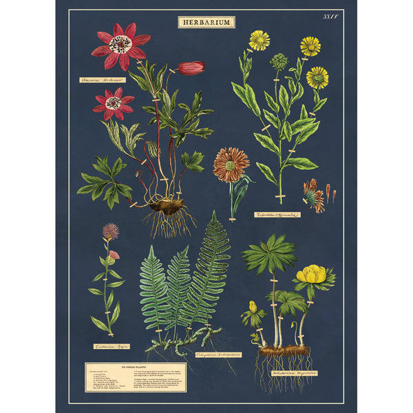 WRAP_HERBARIUM_a_600x.jpg?v=