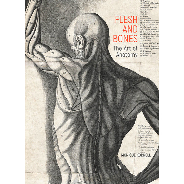 Flesh　Museum　The　and　Getty　Bones:　Anatomy　of　Art　Store