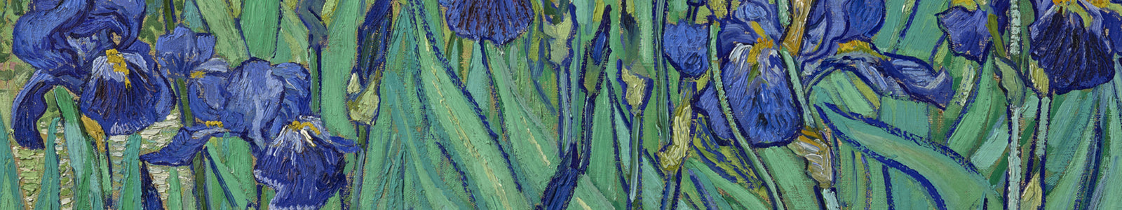 Vincent van Gogh's <i>Irises</i> - Getty Exclusives