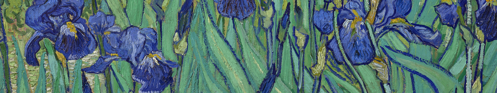 Vincent van Gogh’s Irises