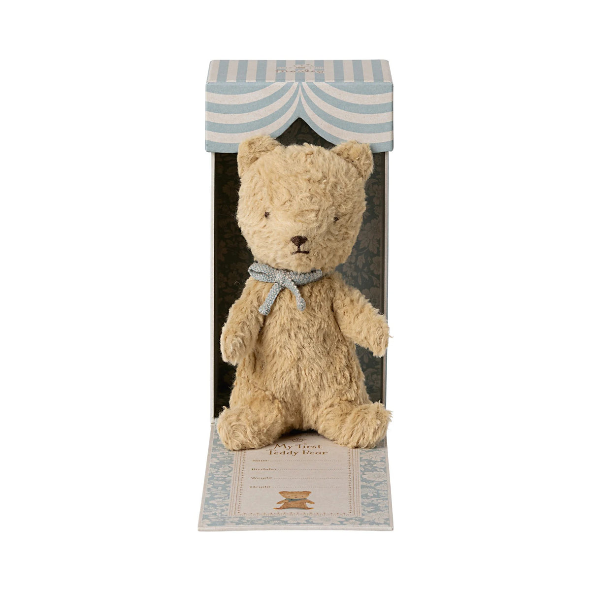 Stuffed teddy bear in a decorative box with striped lid on a white background