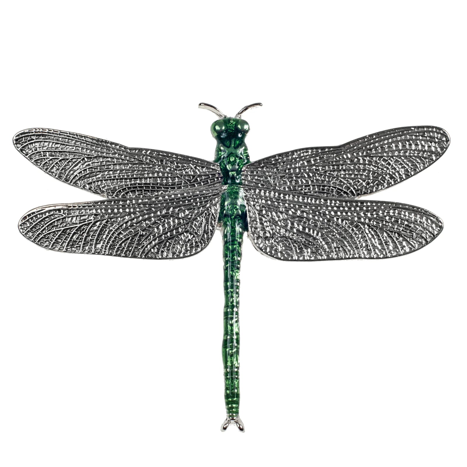 Jeweled dragonfly on a white background