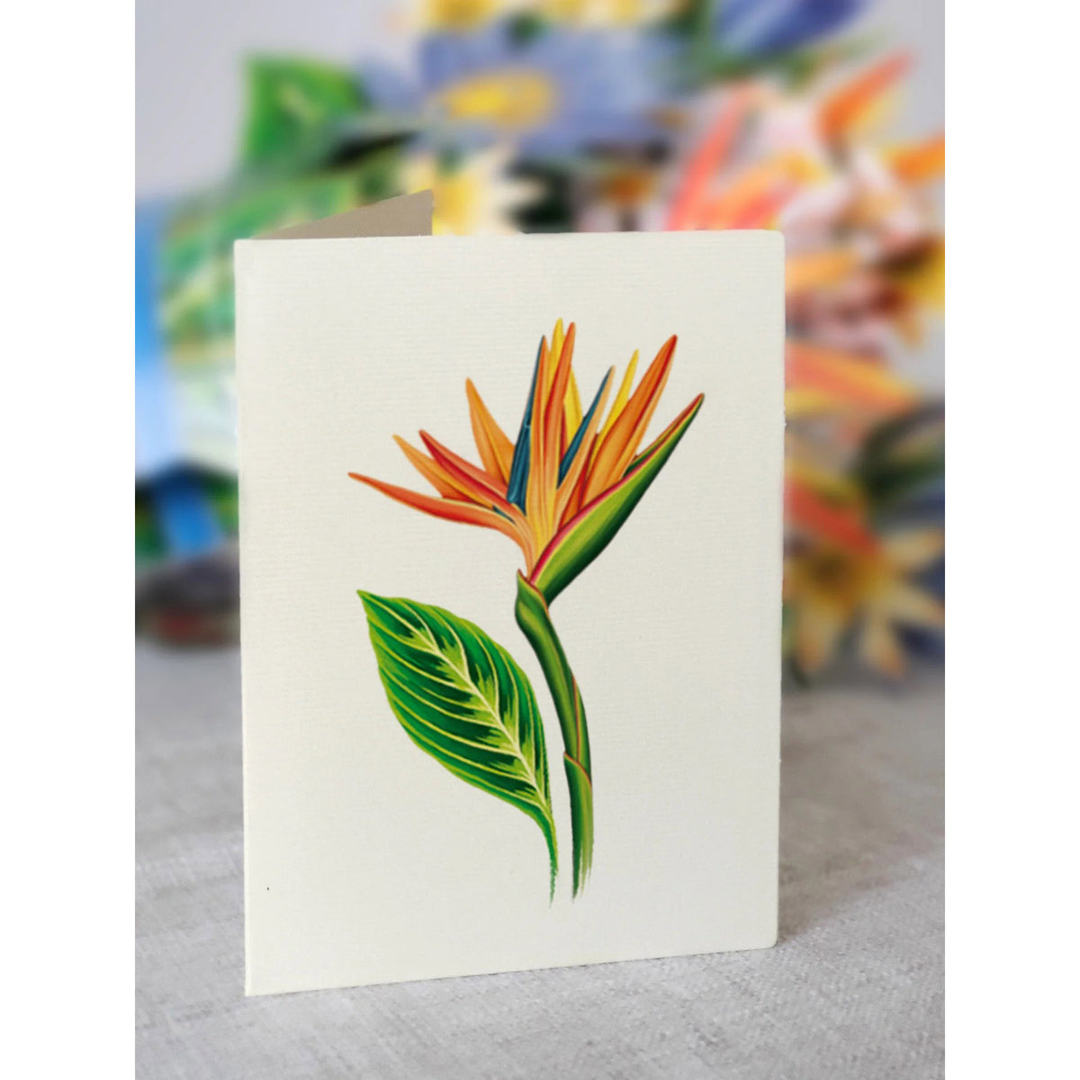 Tropical Bloom Pop-up Notecard