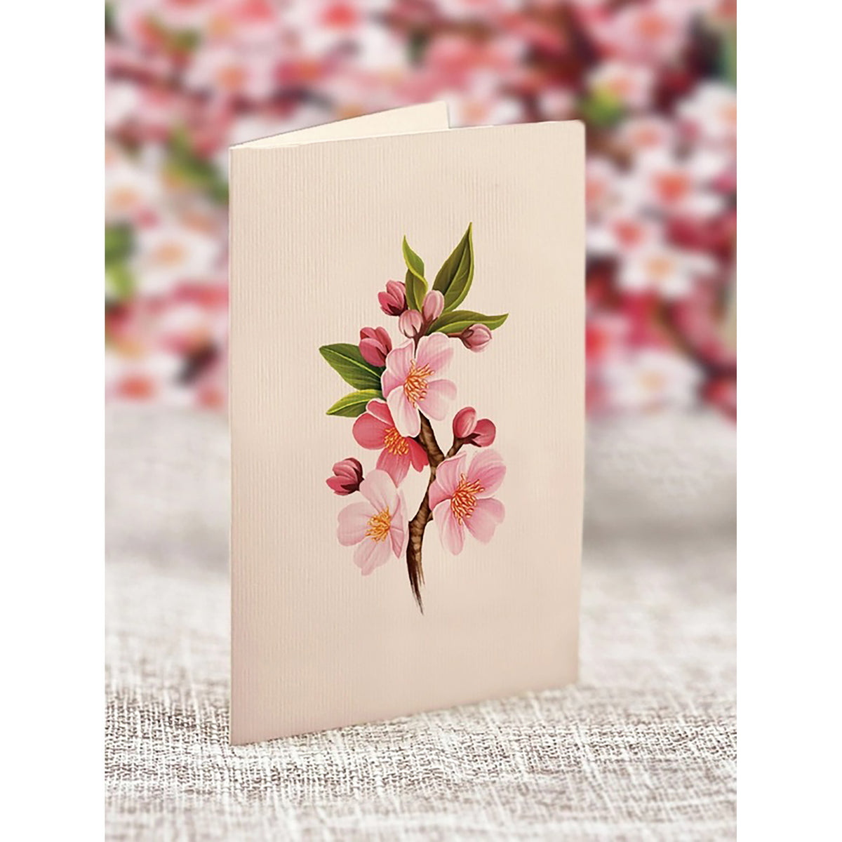 Japanese Cherry Blossoms Pop-up Notecard