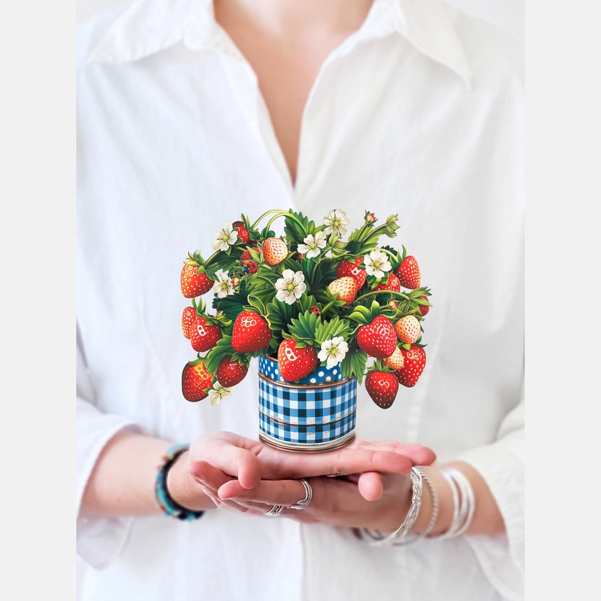 Person holding a small potted plant with strawberries and flowers against a white background