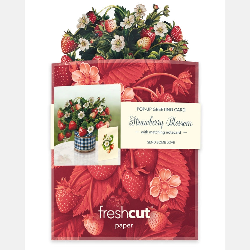 Pop-up greeting card and notepad set with strawberry and floral design, branded as 'freshcut paper'.