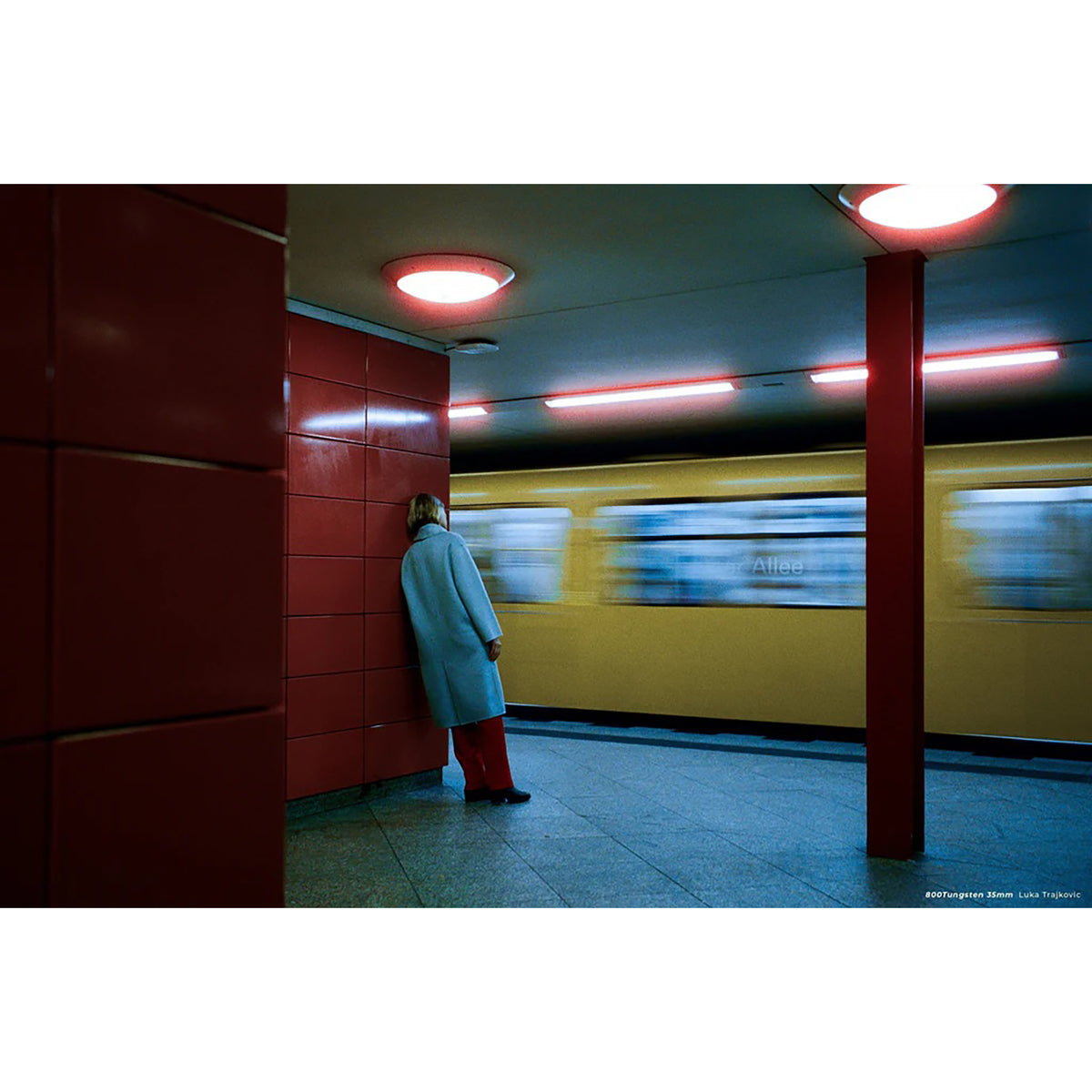 CIneStill 800Tungsten High Speed Color Negative Film - 35MM (36 Exp)