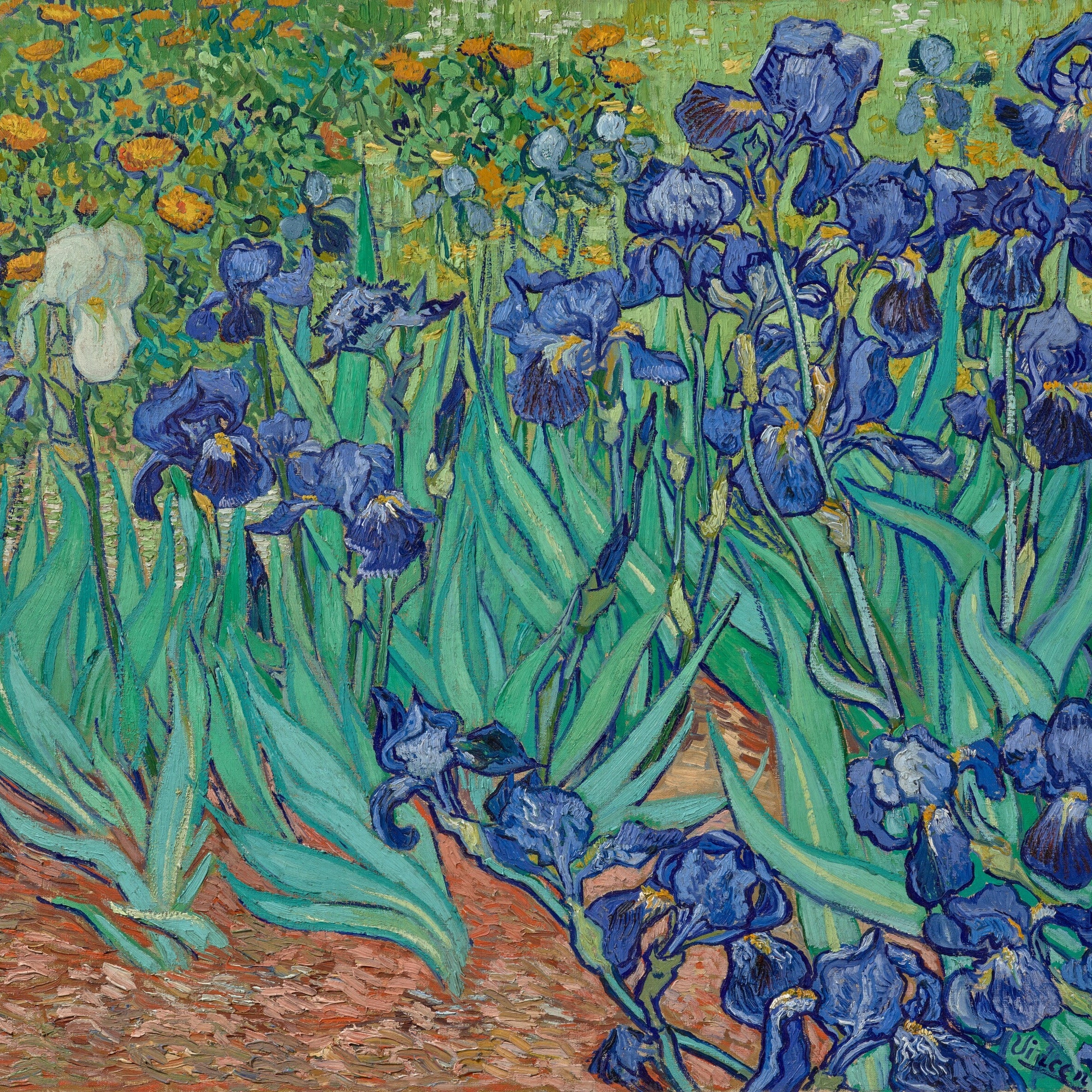 Irises by Vincent van Gogh