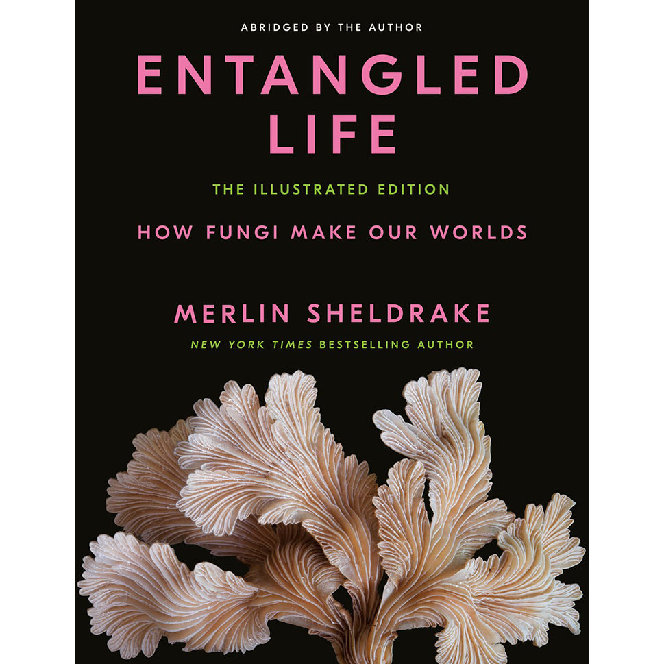 The Man Who Turned the World on to the Genius of Fungi - The New