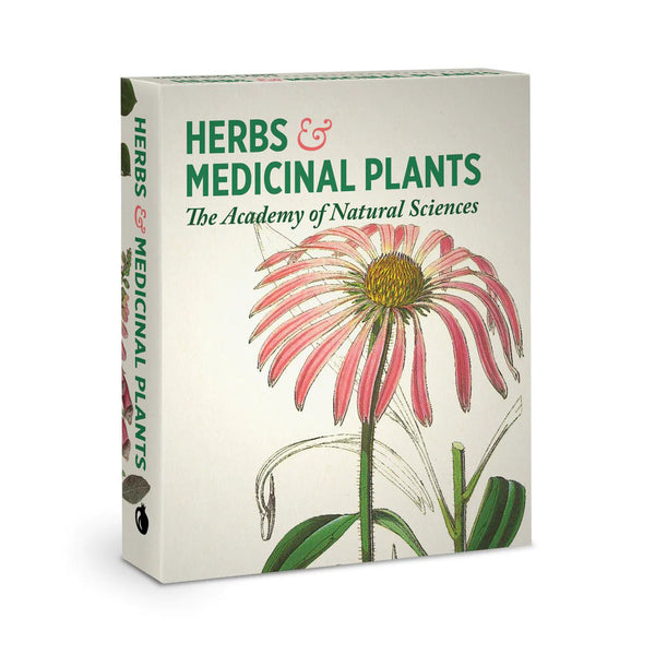 Herbs and Medicinal Plants Knowledge Cards - Getty Museum Store