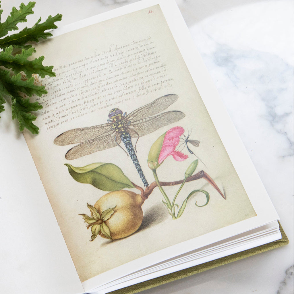 An open vintage-style book or journal lying on a white marble surface, showing a printed botanical illustration of a dragonfly over a pomegranate and pink flower on aged cream paper with cursive text.
