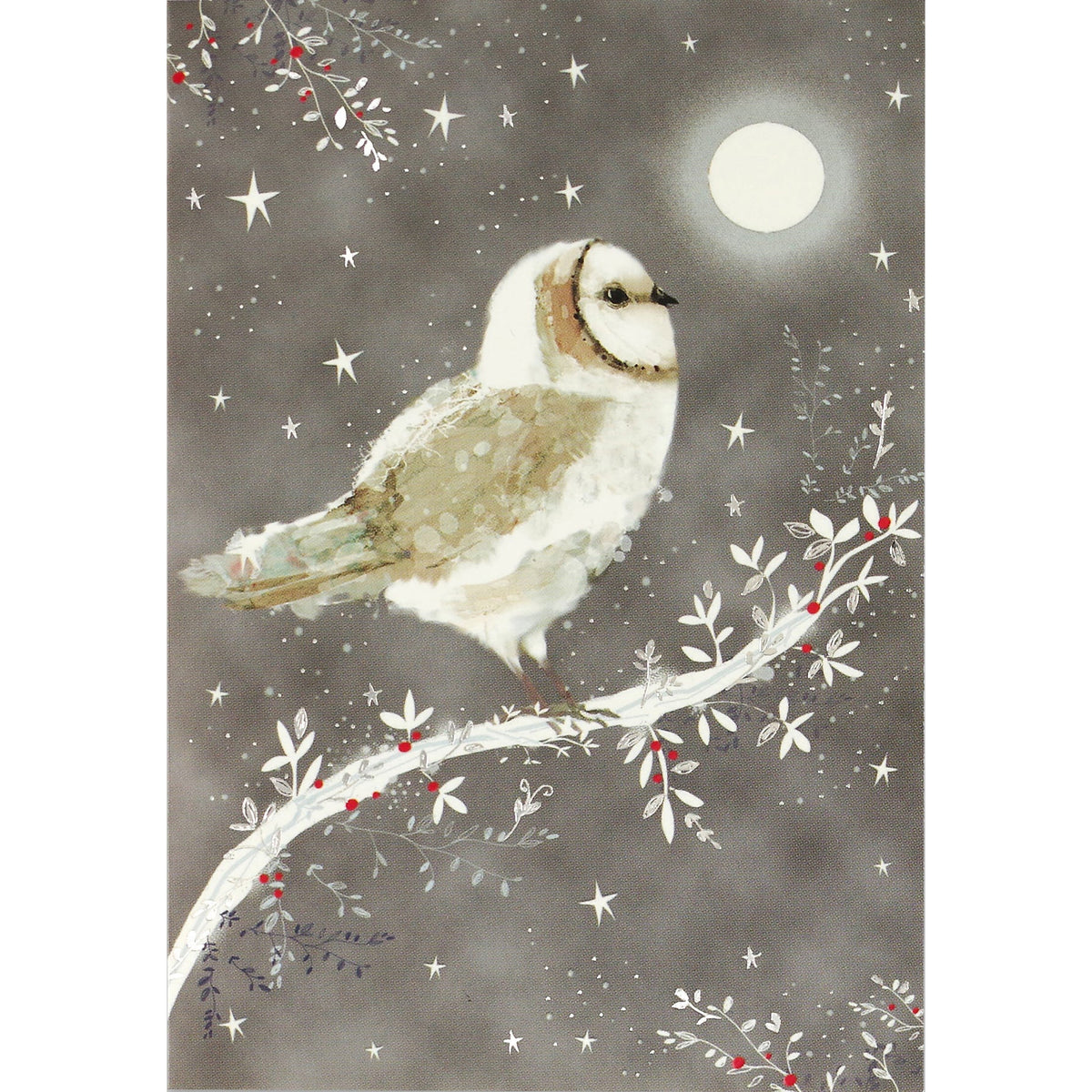 Boxed Holiday Cards – Starry Night Owl
