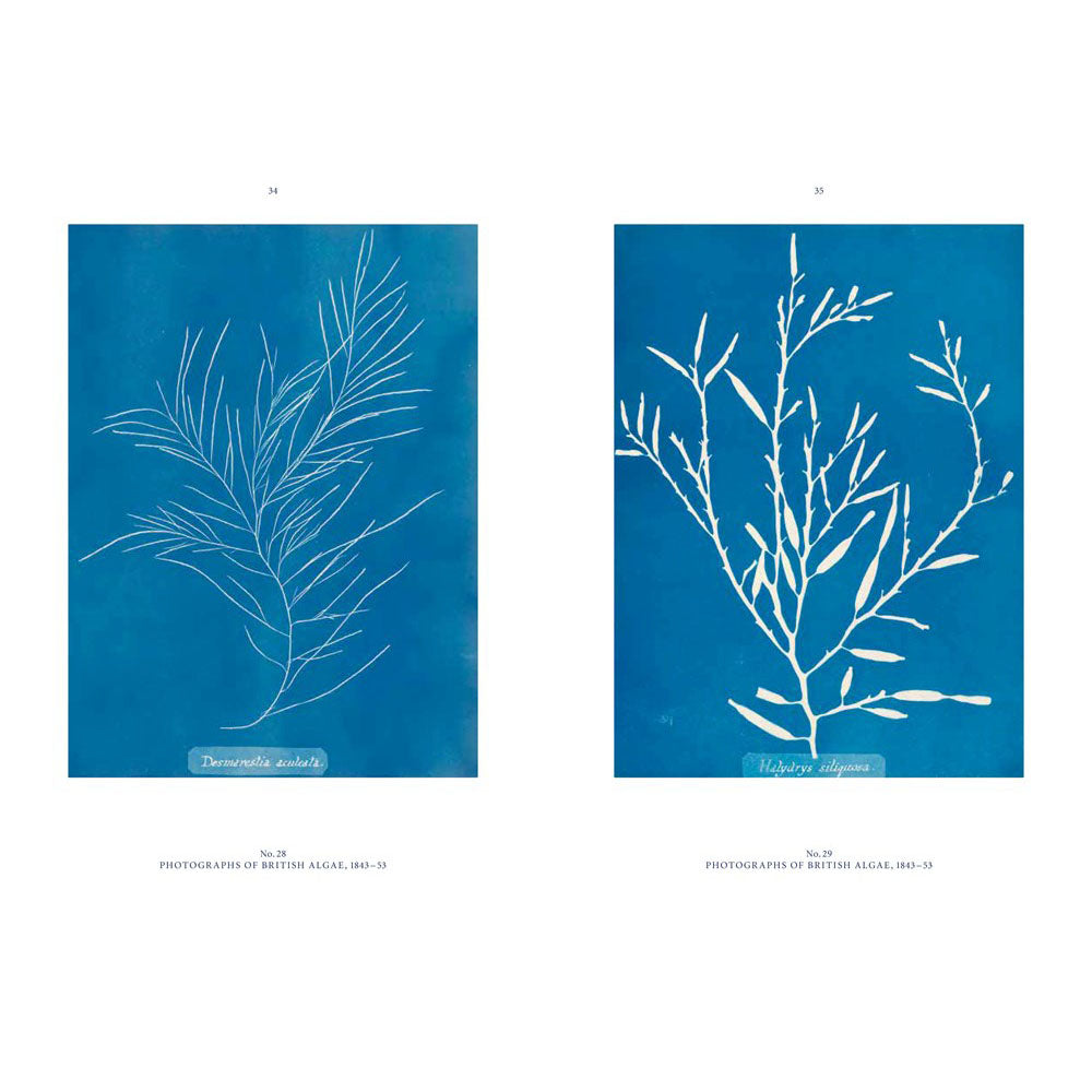 Anna Atkins: Blue Prints