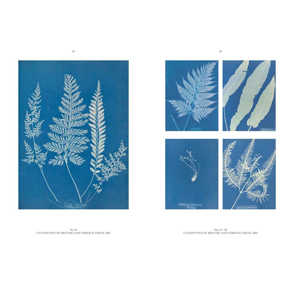 Anna Atkins: Blue Prints