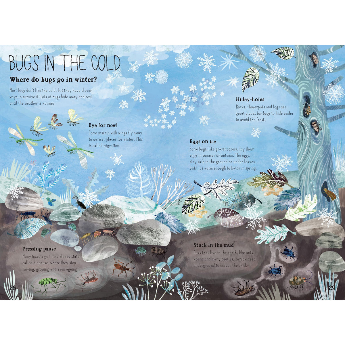 Illustration of bugs in the cold with text explaining their winter behaviors.