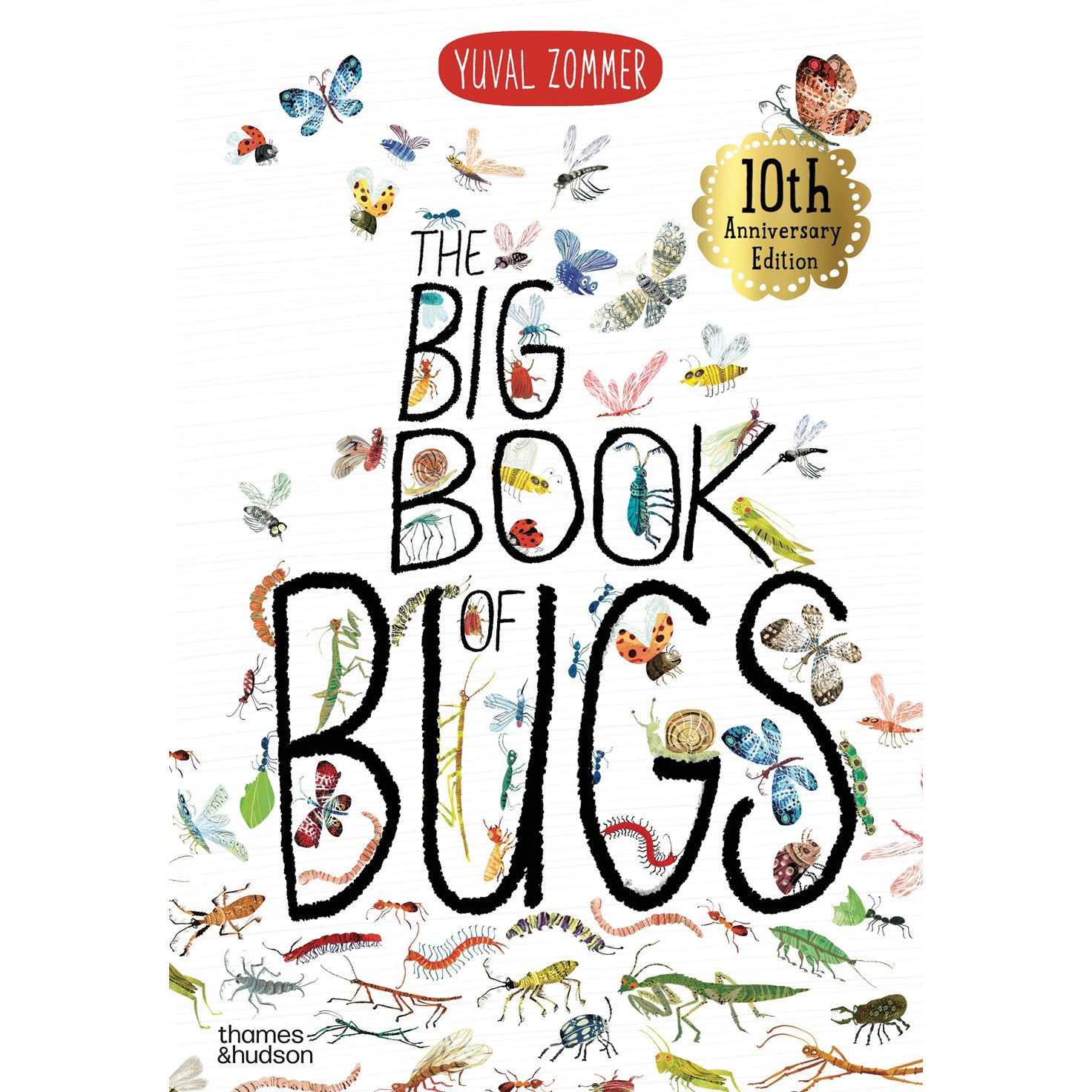 Book cover of 'The Big Book of Bugs' with illustrations of various insects and the author's name at the top.