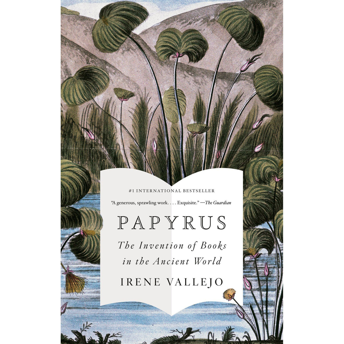 Papyrus: The Invention of Books in the Ancient World