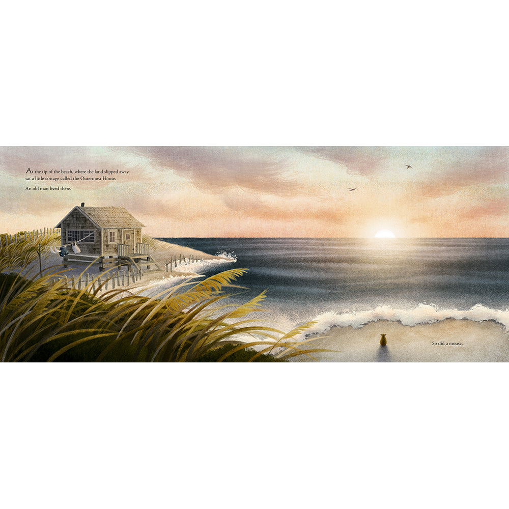 Book cover of 'The Outermost Mouse' with a mouse on a beach at night.