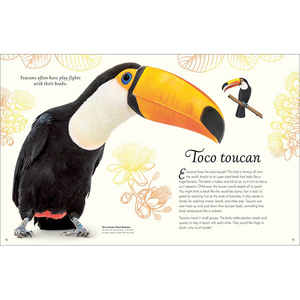 An Anthology Of Exquisite Birds Getty Museum Store