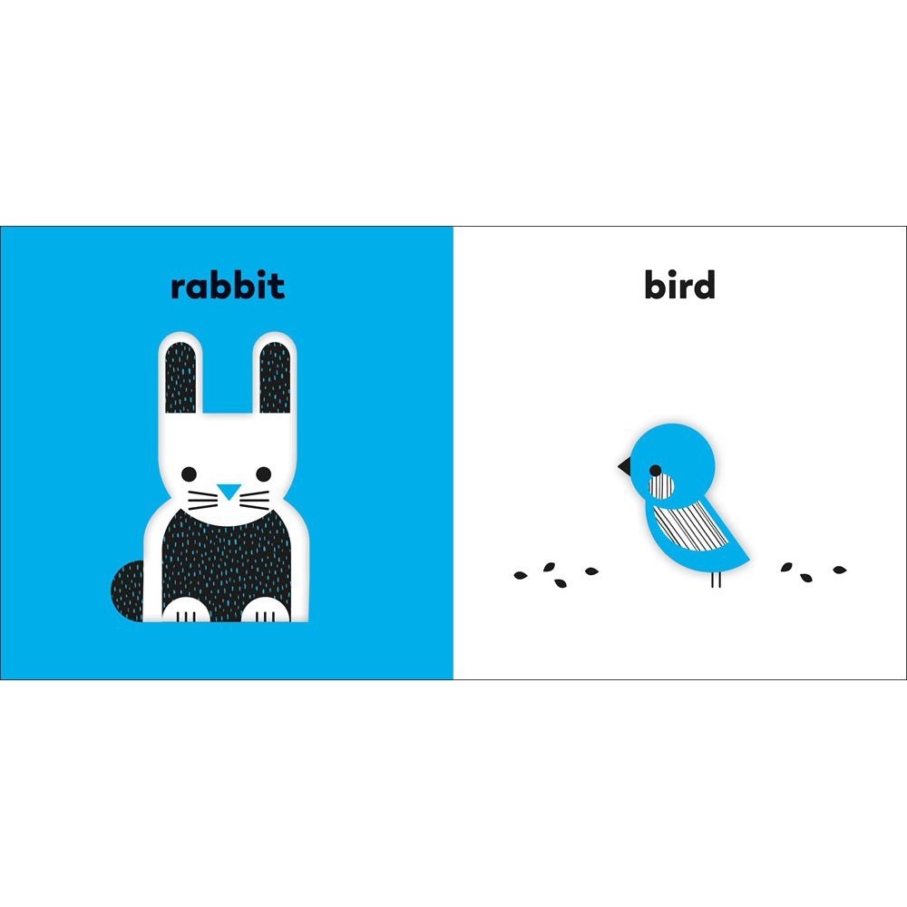 Illustrations of a rabbit and a bird on blue and white backgrounds