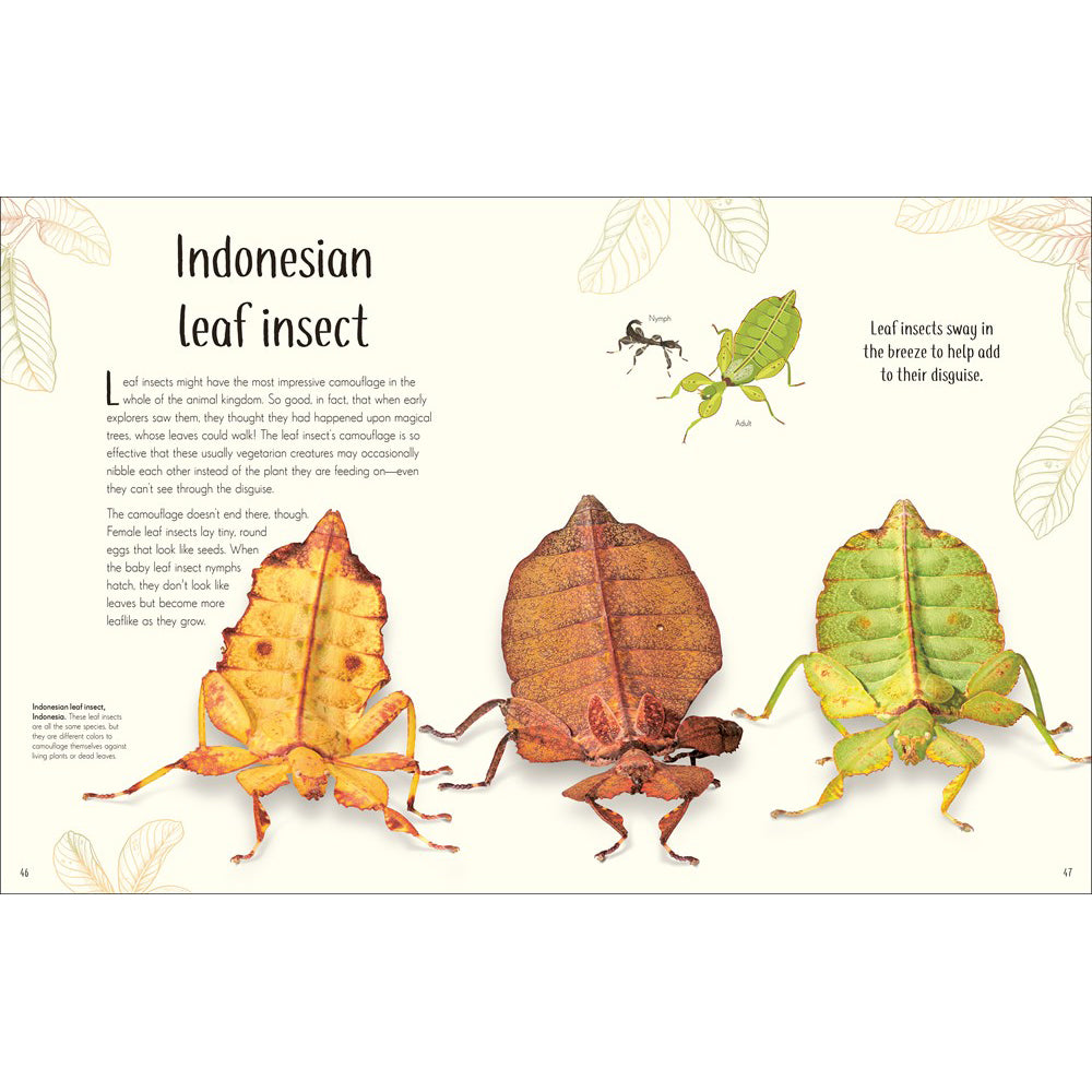 An Anthology of Remarkable Bugs