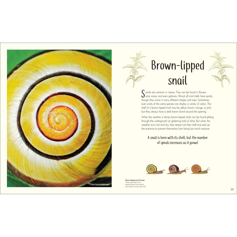 An Anthology of Remarkable Bugs