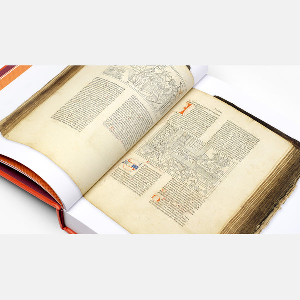 Reading Pictures: A History of Illustration - Getty Museum Store