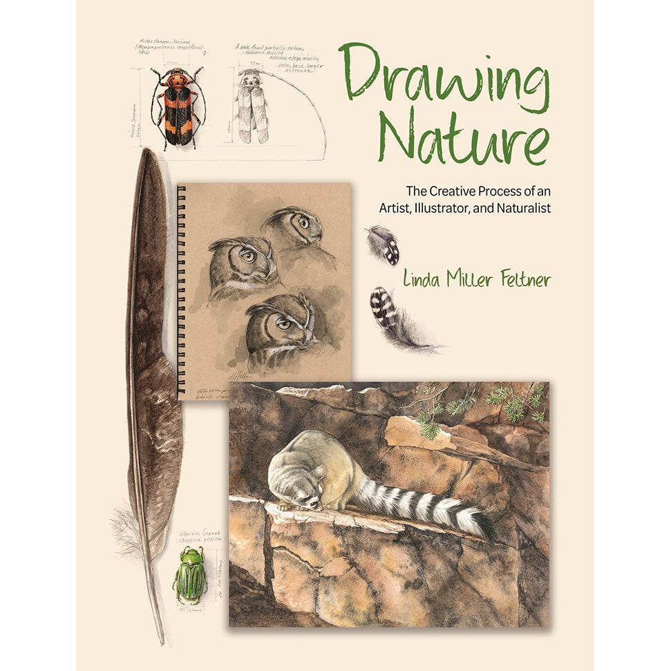 Drawing Nature: The Creative Process of an Artist, Illustrator, and Naturalist