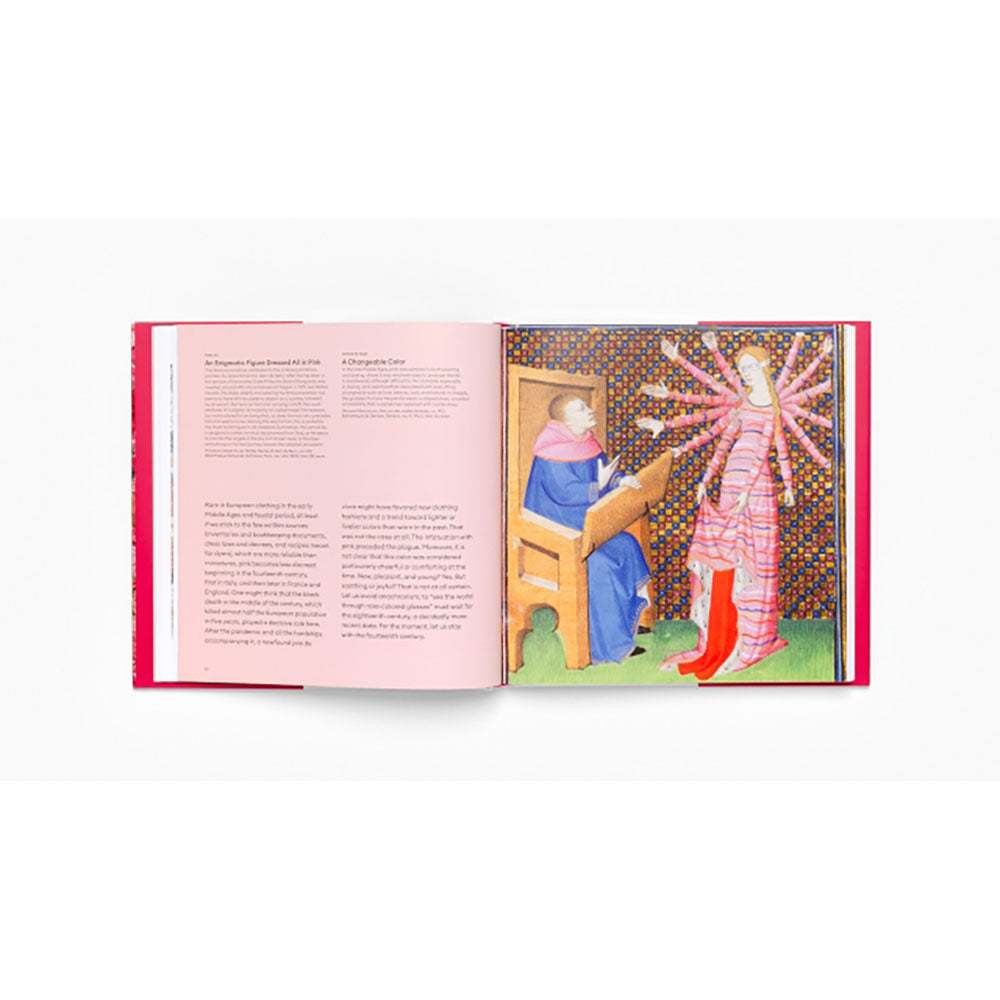 the pink dress book The Pink Dress