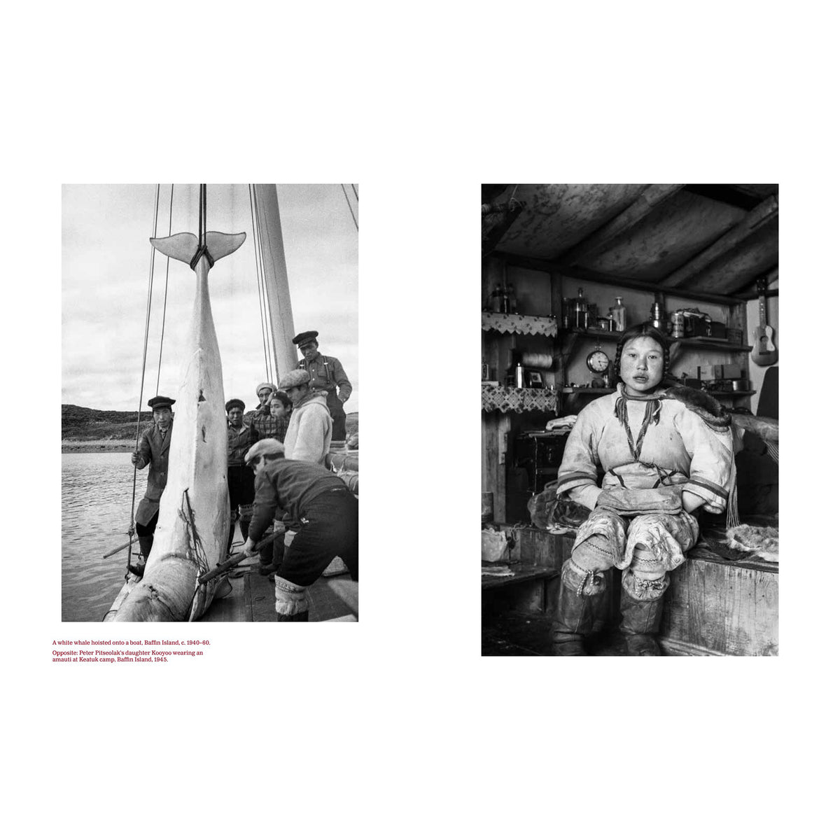In Light and Shadow: A Photographic History from Indigenous America