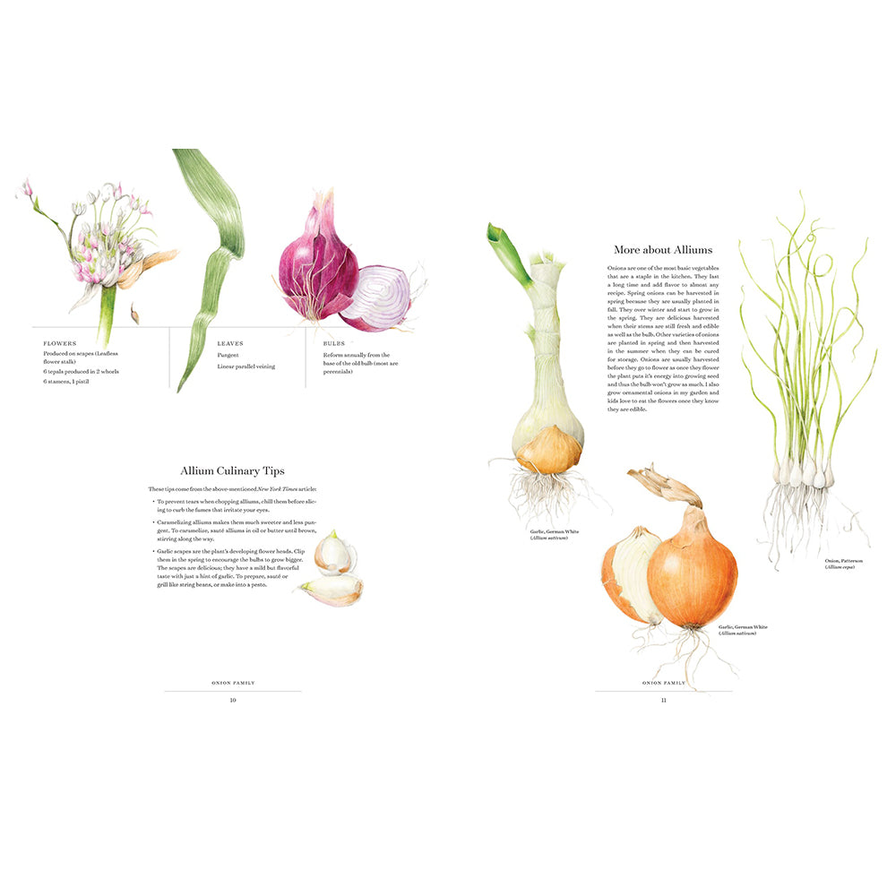 The Album of Plant Families: An Illustrated Exploration of Nature's Beauty and Bounty