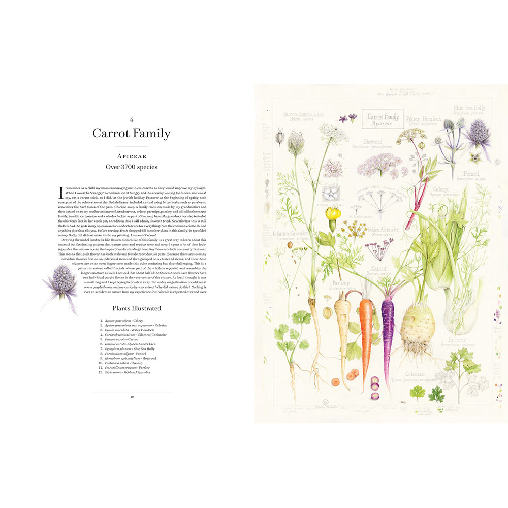 The Album of Plant Families: An Illustrated Exploration of Nature's Beauty and Bounty